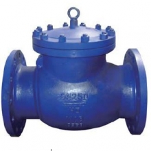Swing type rubber disc check valve